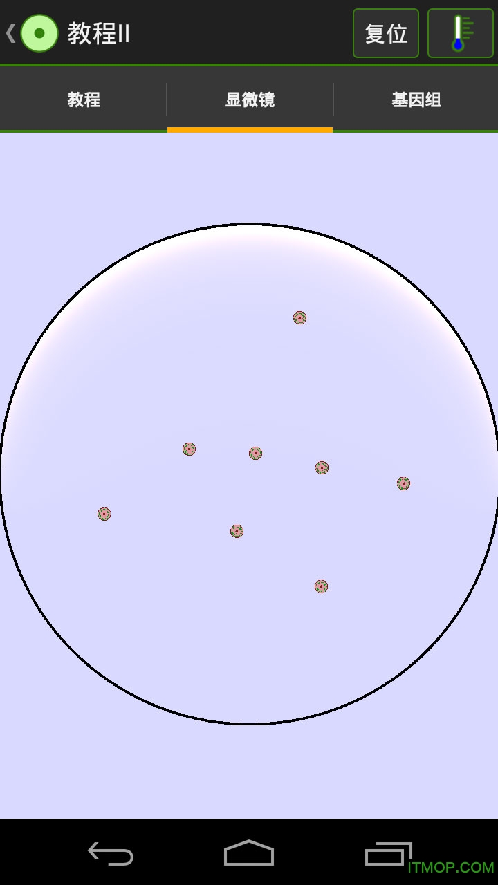 细胞实验室 细胞实验室