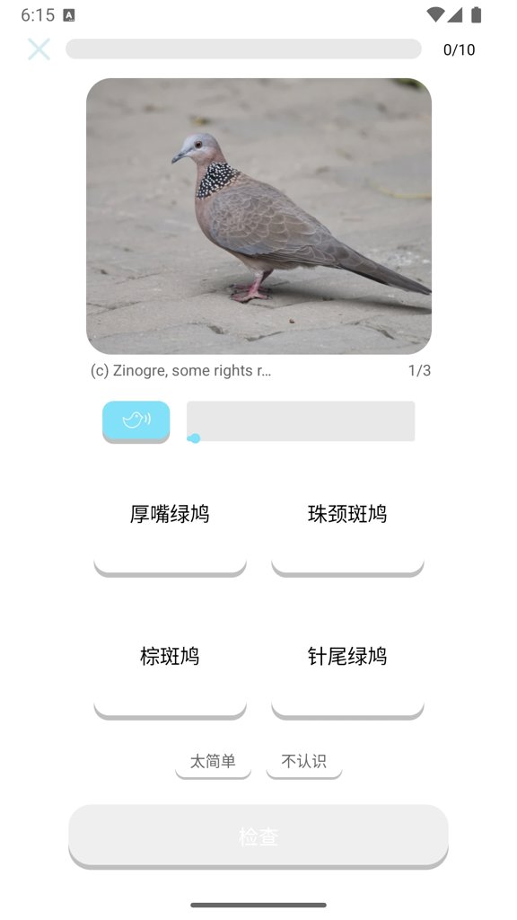 百鸟记-记忆鸟种的名称及鸣声(4)