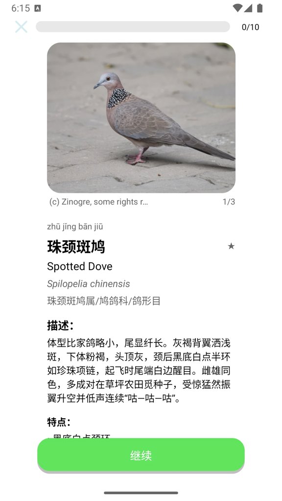 百鸟记-记忆鸟种的名称及鸣声(5)