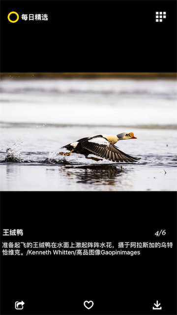 每日精选官方版(2)