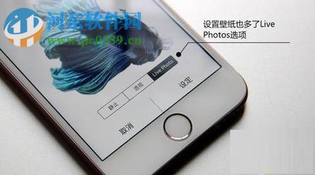 live photo怎么用?将自己录制的视频设置为live photo动态锁屏的方法