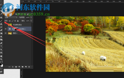 ps可选颜色工具的使用教程