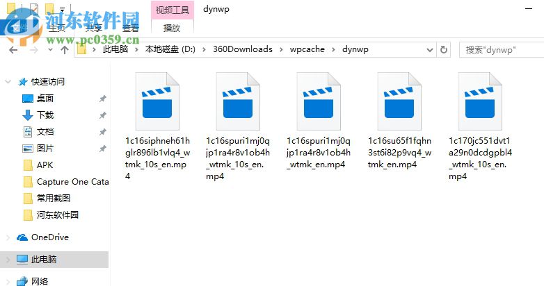 打开小鸟壁纸下载保存位置的方法