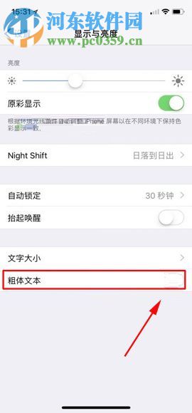 苹果iPhone X设置粗体字体的图文教程