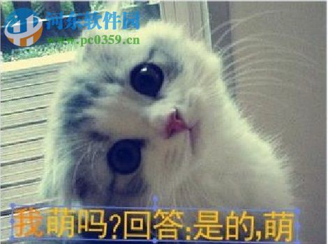 美图秀秀制作动图的方法