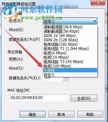 解决VMware打开网页缓慢的方法