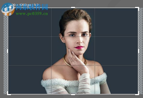 InPixio Photo Cutter裁剪图片大小的方法