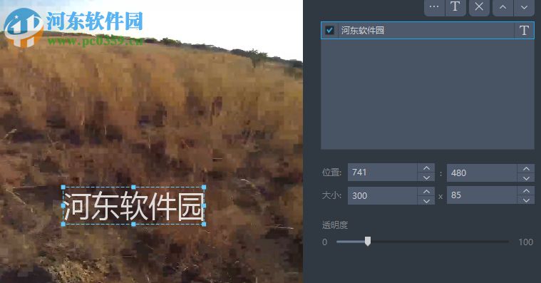 Apowersoft Streaming Video Recorder给视频添加水印的教程