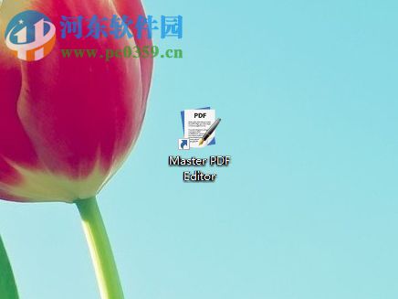 Master PDF Editor 4设置中文界面的方法