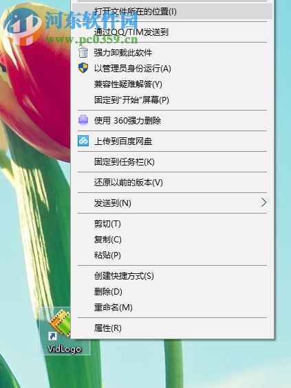 geovid vidlogo 3安装汉化的方法