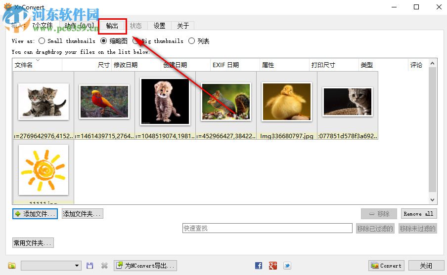 XnConvert如何将图片批量输出为PNG格式