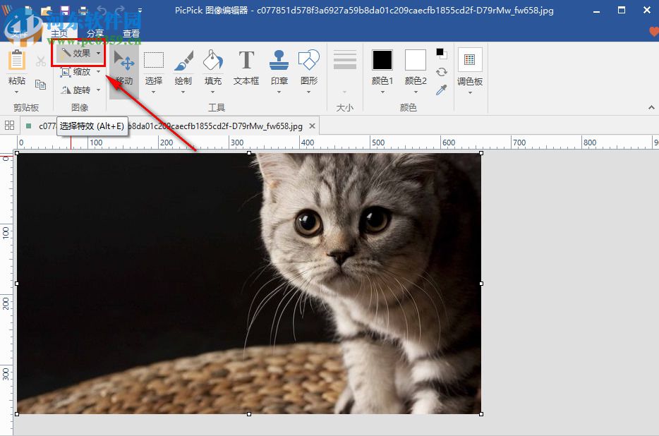 PicPick Portable如何为图片添加水印