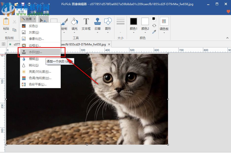 PicPick Portable如何为图片添加水印