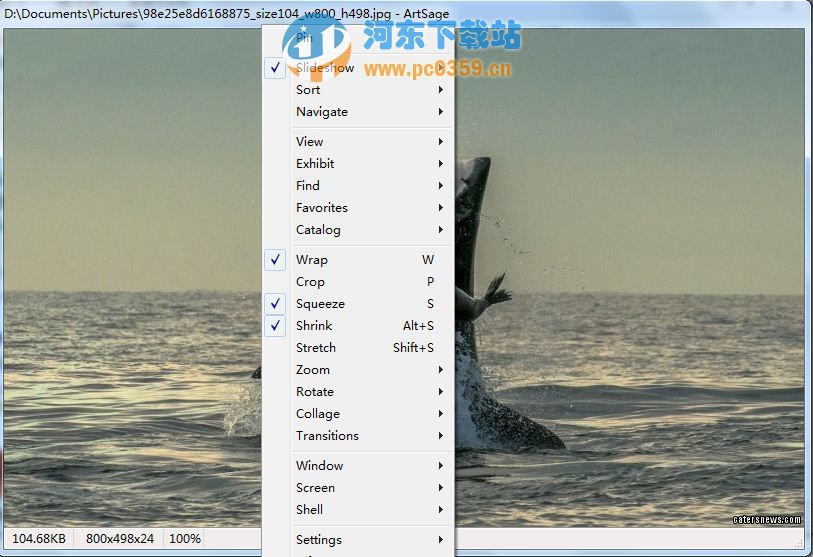 ArtSage(jpeg图片浏览器) 3.00.0001 绿色版