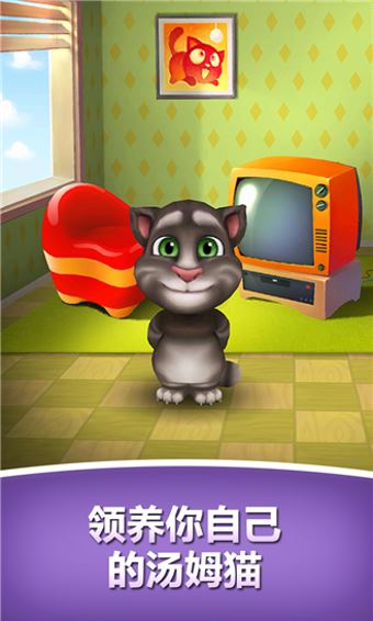 我的会说话的汤姆(2)