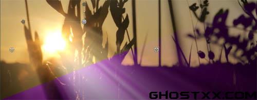 Pixel Film Studio Plugins (动画制作插件)for mac版 1.0