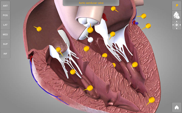 心脏三维解剖图Mac版 1.0.5