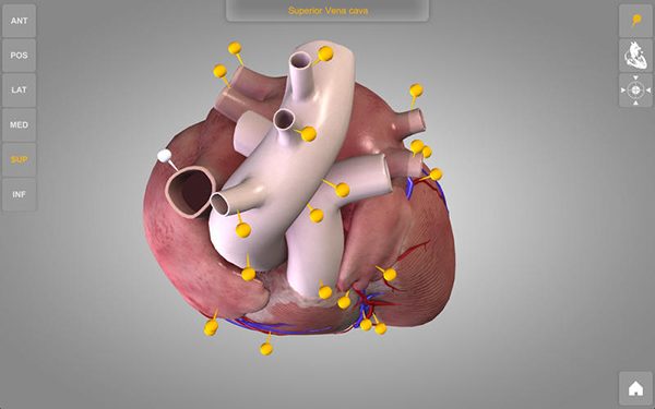心脏三维解剖图Mac版 1.0.5