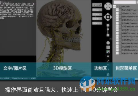 3dbody6.0中文版下载 免费版