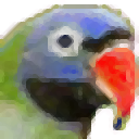 明天打字员个人版