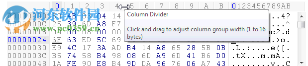 hexworkshop中文版(十六进制编辑器) 6.8 汉化版