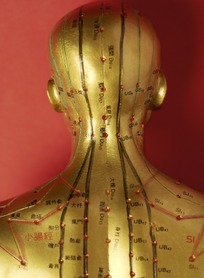 人体穴位3D模型(人体穴位查询软件) 2017 中文免费版