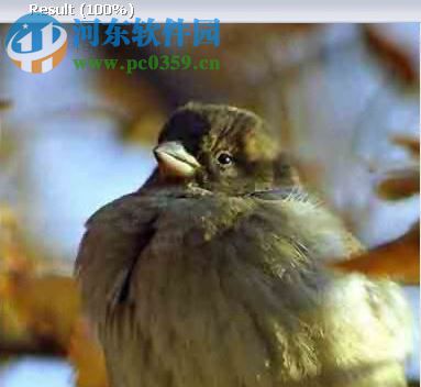 jpeg enhancer下载 2017 免费版