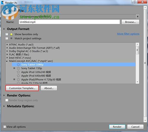 Vegas Pro 9.0 32/64位 免费版