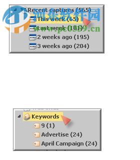 SnagIt V8下载 汉化免费版