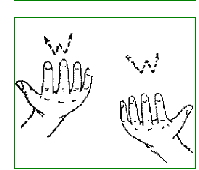 星空手语词典下载 3.0 绿色版
