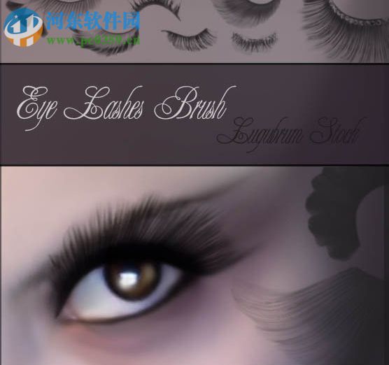 PS睫毛笔刷(附安装教程) 免费版