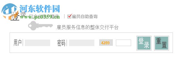 中智雇员查询系统下载 2017 官方版
