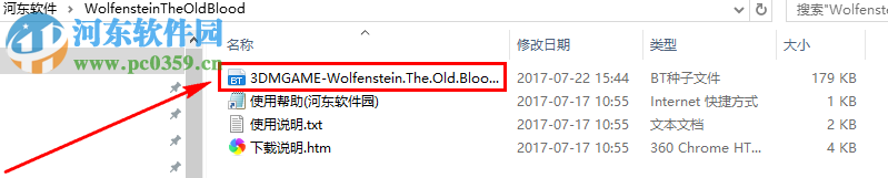 德军总部:旧血脉 中文版