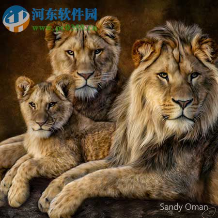 corel painter汉化版下载 2018 中文破解版