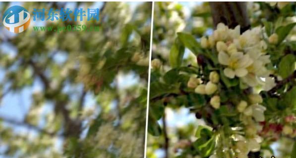 ps cs6防抖滤镜 免费版