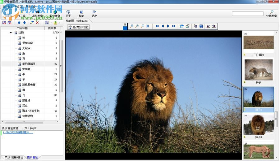 伊曼基照片管理软件下载 1.1 简体中文