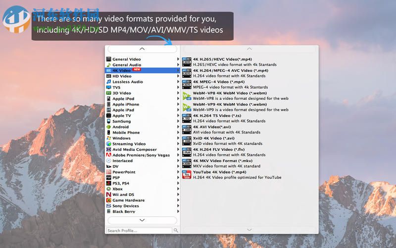 4K UHD Converter for Mac(4k视频转换软件) 6.5.59