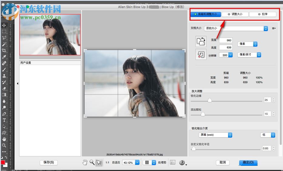 alien skin blow up for mac(图片无损放大软件) 3.1.0.146