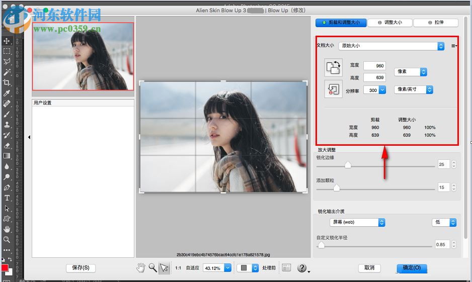 alien skin blow up for mac(图片无损放大软件) 3.1.0.146