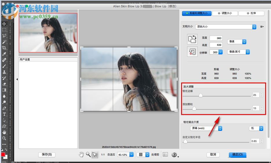 alien skin blow up for mac(图片无损放大软件) 3.1.0.146