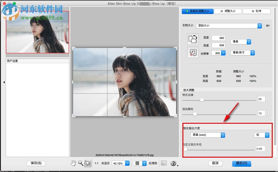 alien skin blow up for mac(图片无损放大软件) 3.1.0.146