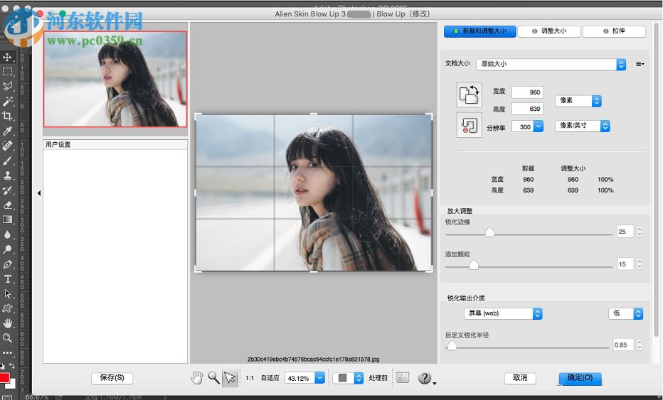 alien skin blow up for mac(图片无损放大软件) 3.1.0.146