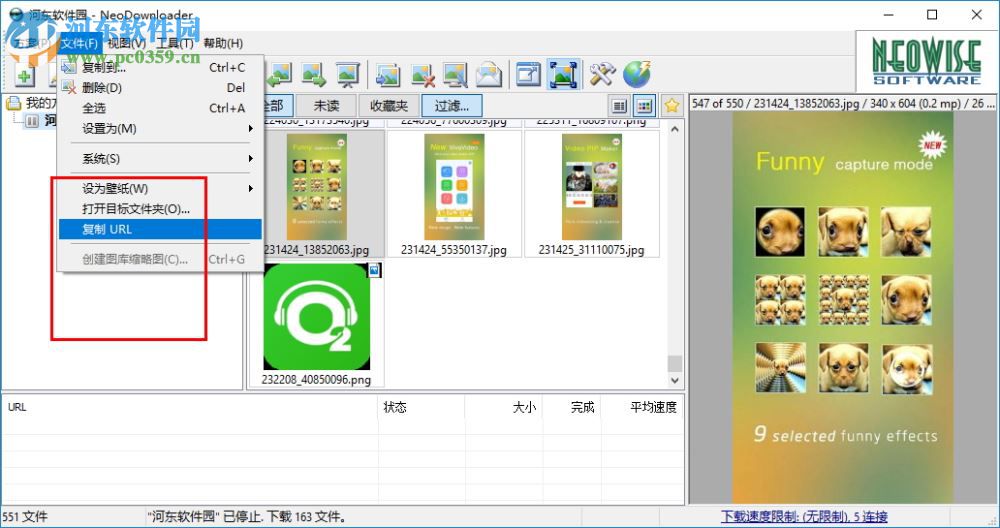 neodownloader下载(网页图片批量下载工具) 2.9.5.191 绿色版