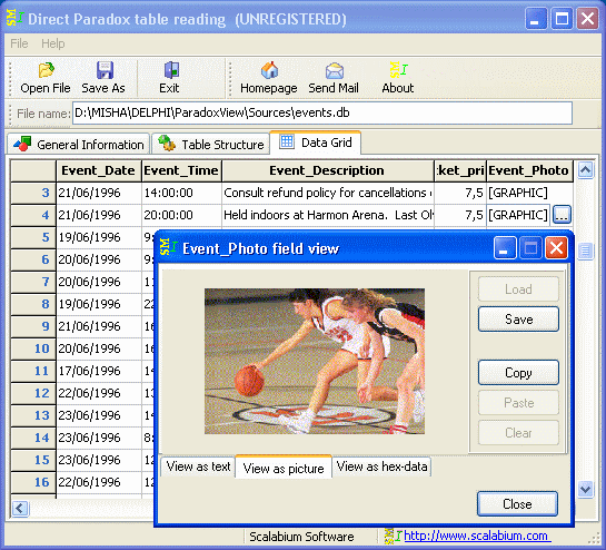 DBISAM Viewer下载(DBISAM表察看) 2.25 免费版