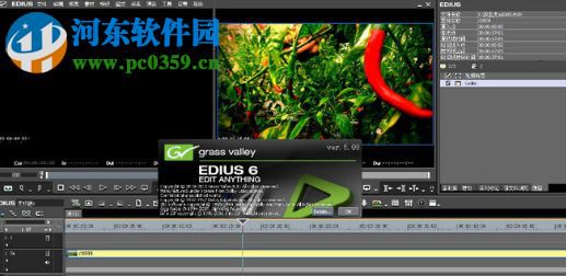 Edius Looks插件 7.5 最新版
