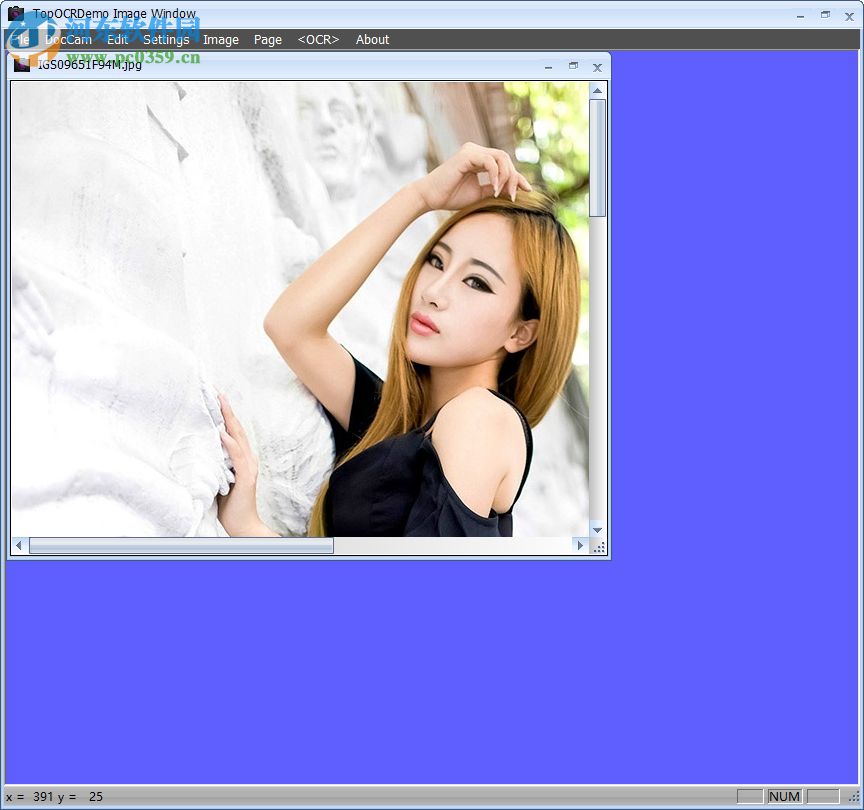 TopOCR(OCR系统软件) 53.0 英文版