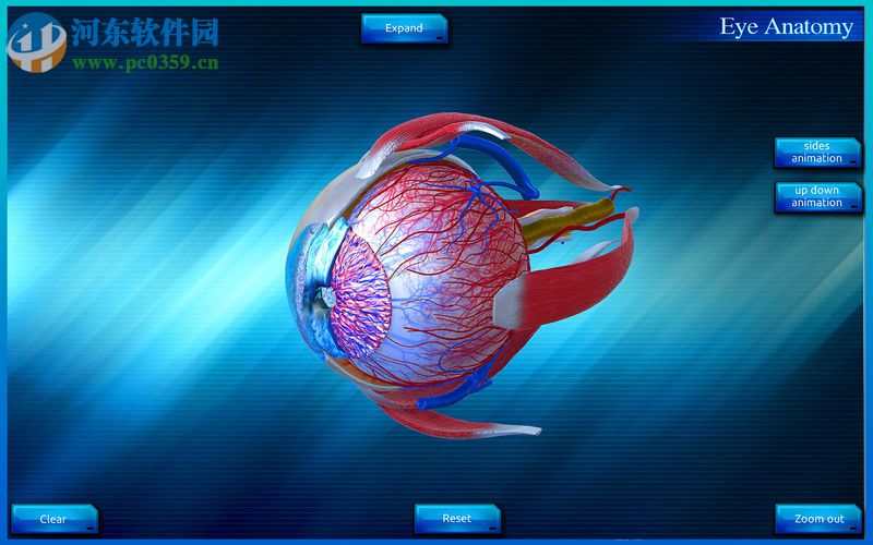 Eye Anatomy 3D for mac(眼睛3D解剖模拟软件) 1.0 官方版