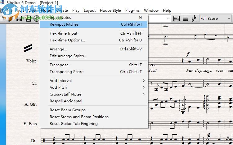 Sibelius(打谱软件) 6.0.3 官方版