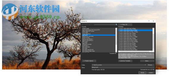 Sony Vegas Pro11下载(视频编辑软件) 11.0.700 中文版