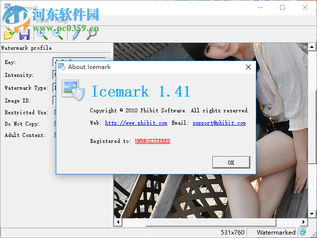 Icemark 数字水印软件 1.41 破解版